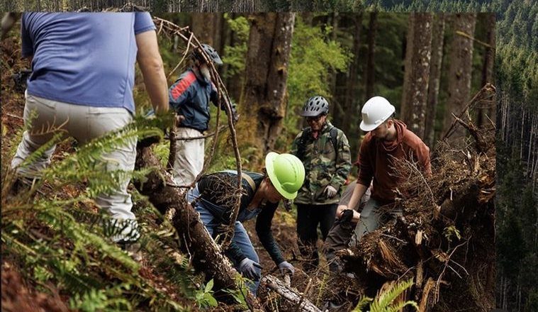 Volunteer trail crew building singletrack together at a TORTA dig day, Buzzard Butte, Oregon